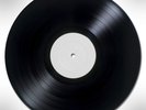 PIG DESTROYER  Terrifyer TEST PRESSING LP Rare Vinyl Record RELAPSE RECORDS