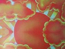Various ?– The Complete Acid Dreams SEALED Feed The Mind ?FREAKSET001 3xLP VINYL