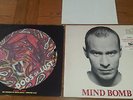 The The vinyl - Mind Bomb LP and Dogs of Lust picture disc