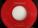 M- RARE OBSCURE MIAMI PUNK 45 / PRINCIPLES / USA 423 / DOWN ON MY LOVE / DOME
