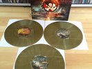 THE GENTLE STORM The Diary Golden Vinyl Lp Signed Ayrton Arjen Lucassen