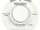 Northern/Deep 70's Soul-James Becton-Tell Me Why/How Much I Love You-US Sea Bird