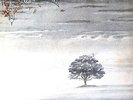 Genesis Wind & Wuthering Vinyl LP 1976 UK Album 1st Pressing Charisma - CDS 4005
