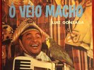 LUIZ GONZAGA O VEIO MACHO LP 1962 MONO RCA ORIGINAL BRAZIL FORRO RARE