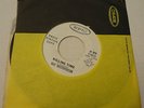 WLP/Promo 45 Epic 5-10225 Kris Kristofferson Golden Idol (1967) NM