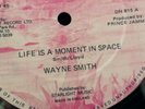 LIFE IS A MOMENT IN SPACE WAYNE SMITH 12
