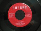 FANTASTIC DEE-JAYS Apache SHERRY  M-  listen  GARAGE