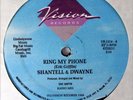 SHANTELL & DWAYNE 12