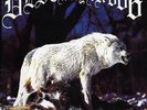 Unchain The Wolves - Destroyer 666 (2015, Vinyl NEU)