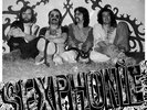 TYLL - Sexphonie - LP 1975 Mental Experience
