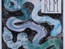 REM Reckoning IRS LP SEALED