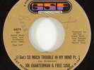 Joe Quarterman & Free Soul 