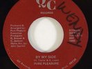 Pure Pleasure 