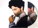 PRINCE VINYL 10