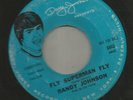 PSYCH MOD GARAGE- RANDY JOHNSON - FLY SUPERMAN FLY  -HEAR-1967 DAVEY JONES