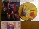 THE SMITHEREENS Especially For You Vinyl Record Picture Disc LP Poster MINT