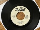 Joe Tex - I Wanna Be Free - Dial white dj Exc condition northern soul