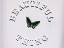 The Stone Roses – Beautiful Thing – Limited Edition 12-inch Record