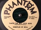 DISCIPLES OF SOUL-THAT'S THE WAY LOVE GOES / TOGETHER : PHANTOM Records