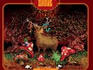 Snail - Feral Vinyl LP Small Stone NEW