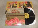 The Hush Sound Goodbye Blues Vinyl LP (2008)