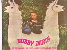 BOBBY DARIN.............