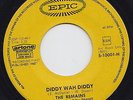 The REMAINS * Diddy Wah Diddy * US GARAGE FREAKBEAT * 1965 Dutch 45 * Listen
