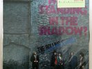 Vinyl LP Records L20P-1127 The Rolling Stones Who's Standing In The Shadow?
