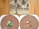 Poison the Well - The Tropic Rot Vinyl 2xLP Peach /333
