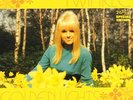 Twinkle - Golden Lights (Special Edition, 2001)