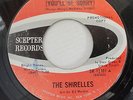 THE SHIRELLES,MARCH (YOU'LL BE SORRY),SCEPTER PROMO COPY 7