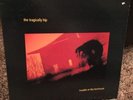 OOP and RARE Tragically Hip TROUBLE AT THE HENHOUSE Vinyl