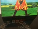 DAVID BOWIE Earthling  Green LP Low Number