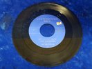 The Sheffields - Please Come Back To Me ? RARE MICHIGAN GARAGE FENTON RELATED