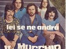 IL MUCCHIO