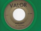 RARE SURF GUITAR INSTR.ROCKER- TREASURES- 