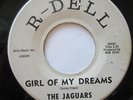 The Jaguars - RARE Doo Wop - Girl of My Dreams & Don't Go Home - R-Dell - 45