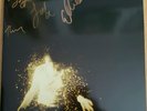 Wolf Alice Signed vinyl LP My Love Is Cool