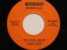 Sandy Gaye - He's Good For Me / Talk Is Cheap 45 on Moonshot Funk/Deep Soul HEAR