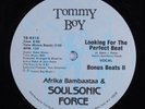 AFRIKA BAMBAATAA & SOUL SONIC FORCE Looking For Perfect Beat TOMMY BOY 12