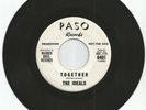 45 R&B/Doowop Paso-6401(DJ) Ideals 