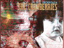 THE CRANBERRIES - RARE 12