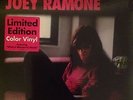 JOEY RAMONE Don't Worry About Me LP new ramones punk clash color vinyl new york