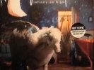 FALL OUT BOY Infinity On High 2 x LP Limited BLUE & WHITE SPLATTER VINYL Sealed