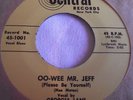 GEORGIA LANE   OO-WEE MR. JEFF ** Re-issue CENTRAL 45 MINT-