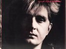 TOM COCHRANE AND RED RIDER 1986 33 VINYL LP RECORD EXCELLENT