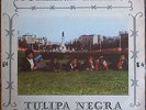 TULIPA NEGRA sumara tempo LP Afro Cabo Verde Funana Synth Tropical Dancefloor