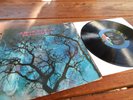 Amon Düül II Phallus Dei 1ST Press 1969 Liberty LBS 83 279 Krautrock Kracher