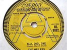 TALL COOL ONE - THE WAILERS - LONDON - DEMO (A) - VINYL - 45