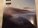 Incubus Morning View Blue Colored Vinyl Record Sealed 2 LP Set Limited Edition